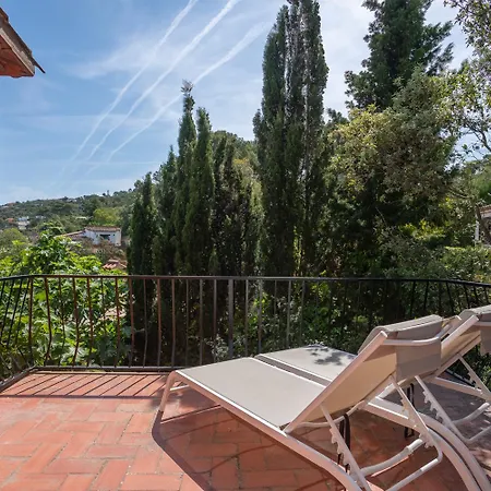 Picasso Mountain View بيغور