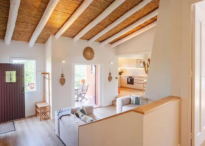 Picasso Mountain View *
